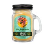 Beamer Candle Cali Jungle Juice 103 ml.