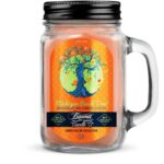 Beamer Candle Michigan Peach Tree