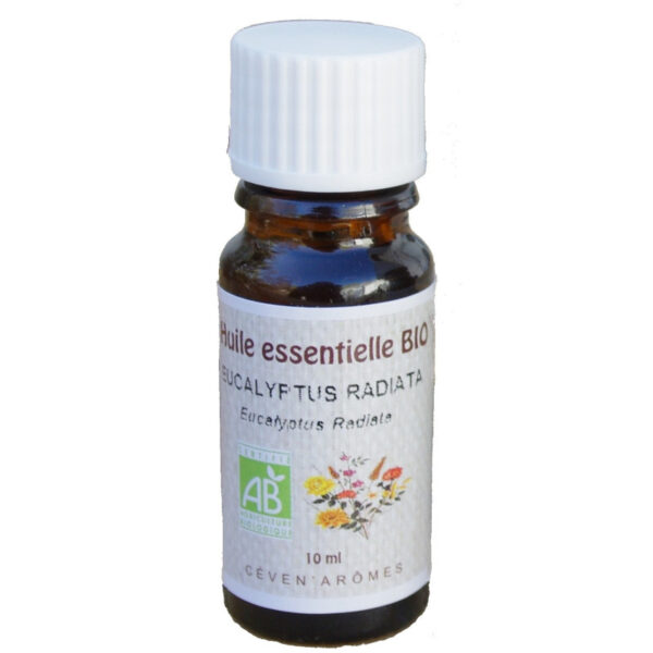 CevenAromes ekologiskas spindulinio eukalipto eterinis aliejus 10ml - Bongai.lt