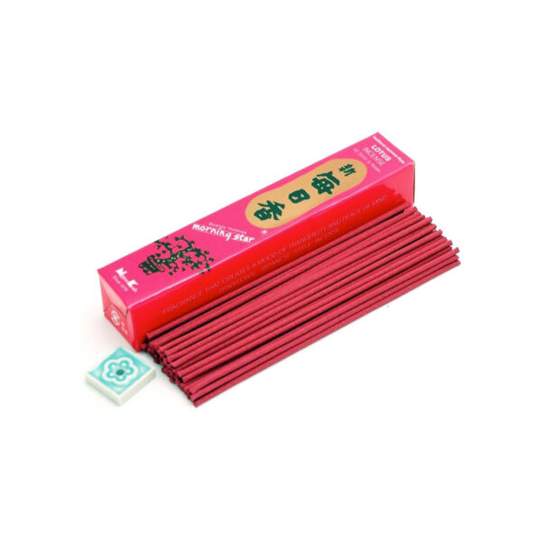 Morning-star-Lotus-1.jpg Morning star Lotus 1 - Bongai.lt