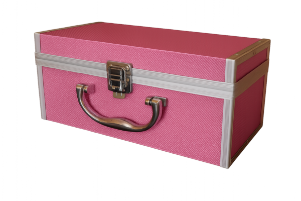 Paslapčių dėžutė 12x12x24 cm rožinė