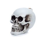 Atgalinio srauto smilkalinė-krioklys „Mystic Skull“ (Backflow)