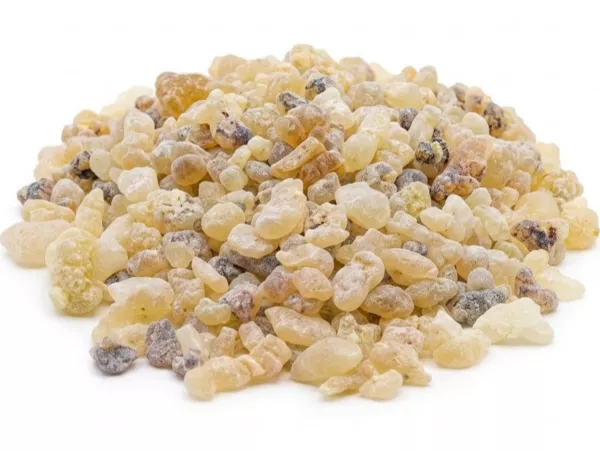 ladanas frankincensas olibanas derva frankincense