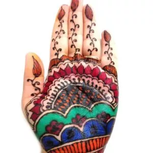 Golecha spalvoti henna chna dažai rinkinys 8x25g ant delno